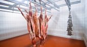 «Привезут, накормят»: в Пензенской области допустили попадание зараженного мяса на рынки