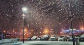 Зима решила вернуться: Синоптики обещают в Пензе снег