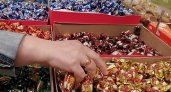 Пензенец своровал с прилавка 6 коробок конфет