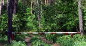 В Пензенской области установят более 700 шлагбаумов на въездах в леса
