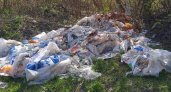 В водоохранной зоне Суры образовалась свалка 