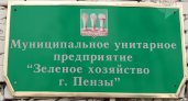 "Зеленое хозяйство" Пензы передумали закрывать