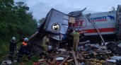 Появились подробности серьезного ДТП с фурой и Газелью в Пензенской области 