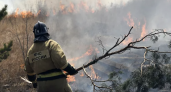 В Пензенской области 6 июня случился лесной пожар 