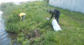 На набережной реки Суры убрали несанкционированные свалки 