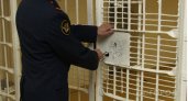 В Пензенской области наказали серийного похитителя элитного алкоголя