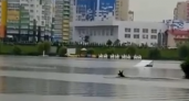 Пензенец снял на видео, как лось переплыл озеро в Спутнике 