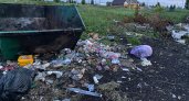 После нашумевшей истории с мусором в пензенском Нефтянике стало еще хуже