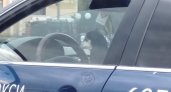 В Пензе за рулем авто заметили лохматого таксиста