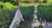 В Пензе на улице Черняховского вода из канализации затопила огород