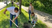 В Пензе на Западной поляне посадили 30 деревьев