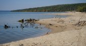 На отдыхе на Сурском водохранилище утонул молодой мужчина