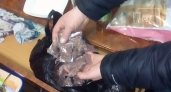 У пензенца нашли 12,25 грамм наркотика