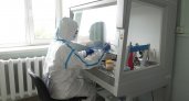 В Пензе, Городищенском и Пензенском районах больше случаев заболевания коронавирусом 