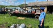 Прокуратура проведет проверку после массовой гибели пчел в Липовке