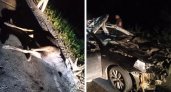 В Городищенском районе произошло ДТП с лосем, есть пострадавшие