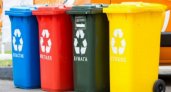 Пензенской области направят субсидию на контейнеры для раздельного сбора мусора