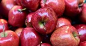 В Пензенской области яблоки подешевели на 7,5%