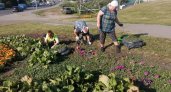 В Пензе за зелеными насаждениями будет ухаживать новая организация
