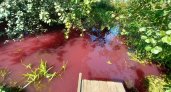 Пензячка пожаловалась на реку, которая окрасилась в багровый цвет