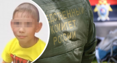 Пензенские следователи разбираются в исчезновении 9-летнего мальчика 