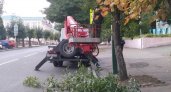 В Пензе опиливают деревья для улучшения видимости дорожных знаков