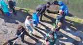 Более тонны мусора собрали активисты во время акции «День реки Сура»