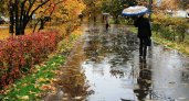 Дожди и тепло: синоптики озвучили прогноз погоды в Пензенской области