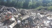 Устранение несанкционированной свалки в Пензенской области обойдется в 93 млн рублей