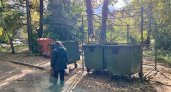 Пензячка недовольна установкой мусорных контейнеров на площадке