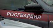 Росгвардейцы задержали мужчину, который пытался обокрасть пензенскую пару