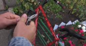 В Пензе мужчина угнал велосипед у курьера, который занимается доставкой еды