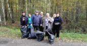 Более 60 кубов мусора собрали в лесах Пензенской области 