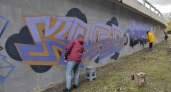 В выходные в Пензе художники стрит-арта разрисовали стены моста