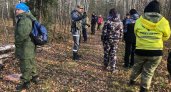 В Пензенской области завершены поиски пропавшего без вести подростка