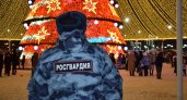 В новогоднюю ночь в Пензенской области будут дежурить более 200 сотрудников Росгвардии 