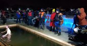 15 пензенских спасателей дежурили около купелей в Крещенскую ночь
