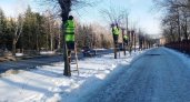 В Пензе за январь 2023 года проведено кронирование свыше тысячи деревьев