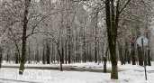 Во вторник в Пензенской области ожидается мокрый снег