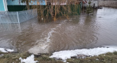 Пензенцев предупреждают о возможном заражении сибирской язвой и тифом из-за паводка