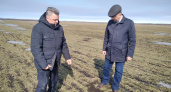 Роман Калентьев посетил хозяйства и ферму для оценки озимых 