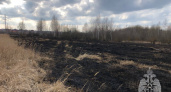 В Пензенской области зафиксирован первый поджег травы в 2023 году 