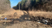 Следователи установили причастного к сливу опасных отходов в Нижнеломовском районе