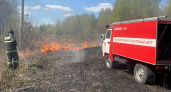 В Пензенской области на 2 дня прогнозируют высокую пожарную опасность лесов