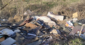 В Пензенской области с 1 мая действуют новые штрафы за мусор
