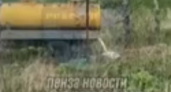 В Пензенской области обнаружили, что собранное с жителей молоко сливают в овраг