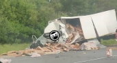 В Пензенской области около Мокшана произошло смертельное ДТП