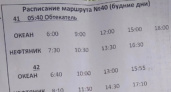 Пензенцы ожидают маршрутку №40 по 2,5 часа