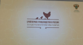 Пензенская область заняла 3 место в России по производству мяса птицы