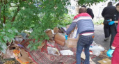 В Пензе с десятков улиц вывезли несанкционированные навалы мусора